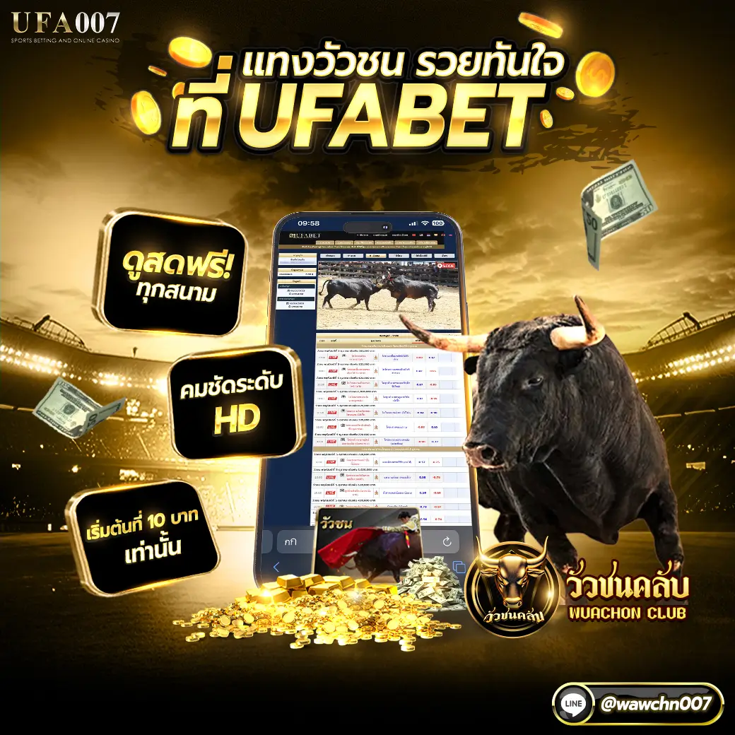 แทงวัวชน-รวยทันใจ