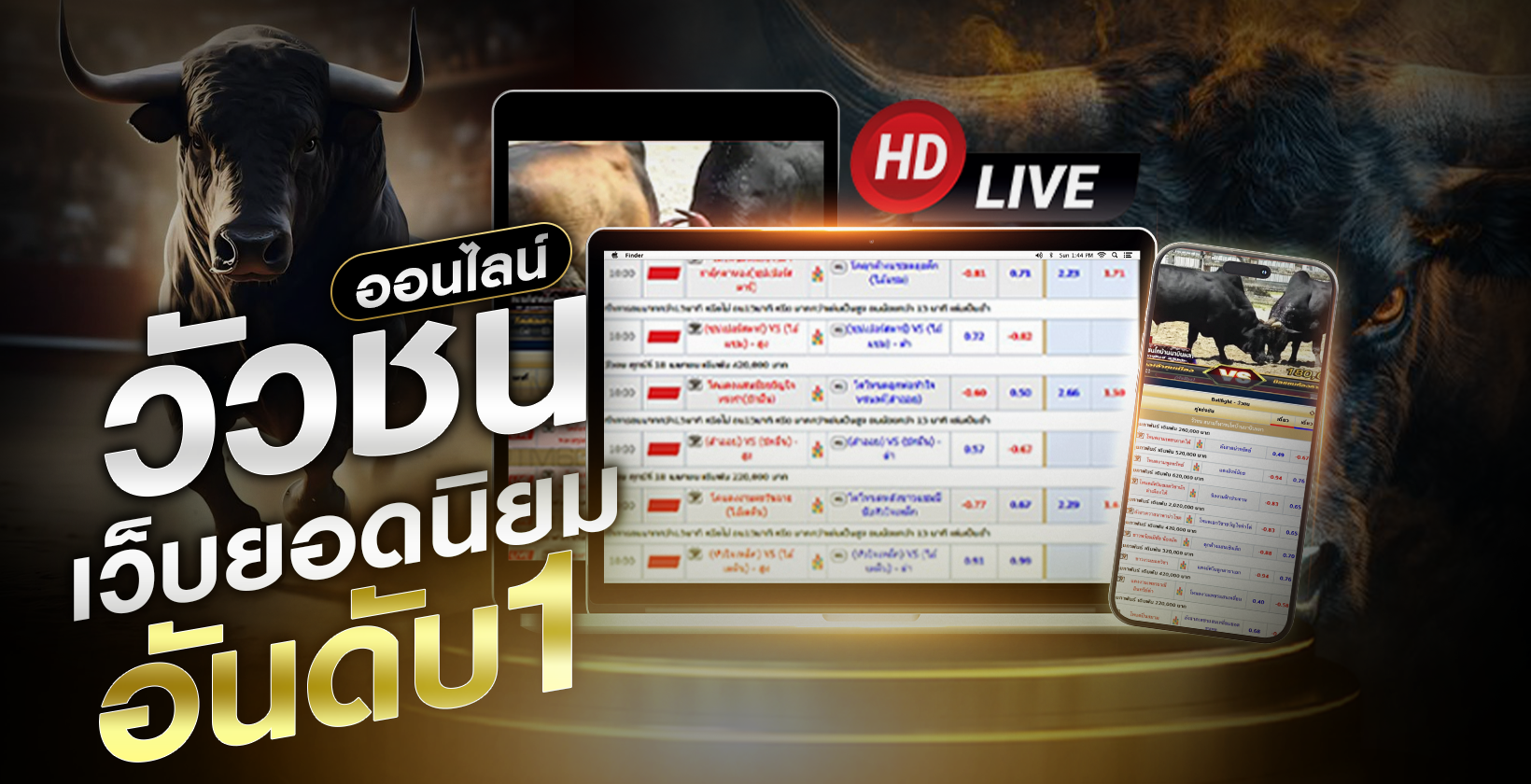 วัวชนออนไลน์