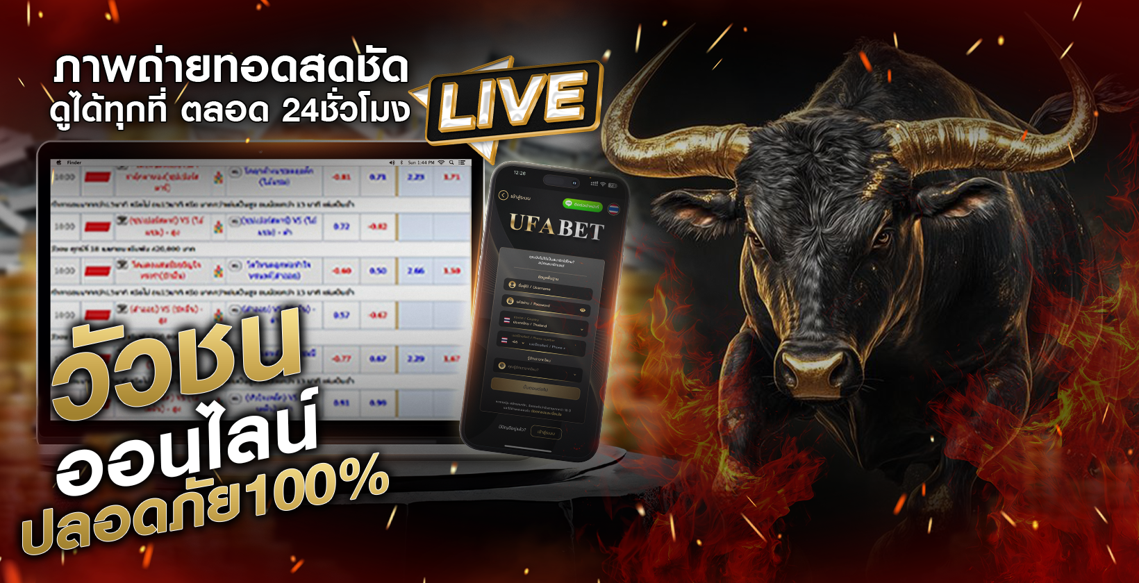 แทงวัวชน