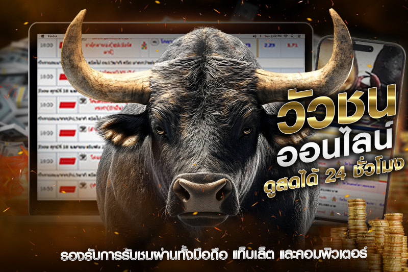 ทำไมต้องดูวัวชนสด