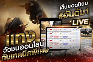 เทคนิคการเลือกวัวชน