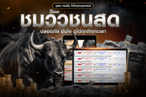 การถ่ายทอดสดวัวชนออนไลน์