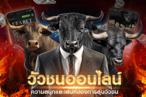 ความสนุกและเสน่ห์ของการลุ้นวัวชน