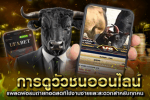 วิธีดูวัวชนออนไลน์