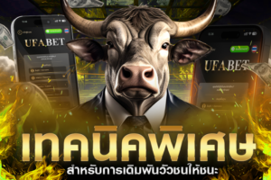 เทคนิคเดิมพันวัวชนให้ชนะ